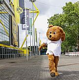 Die besten Kneipen beim BVB Heimspiel